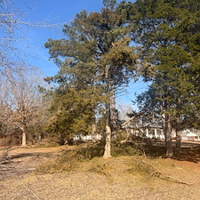 Safe-Again-Storm-Debris-Cleanup-In-Oxford-MS 5